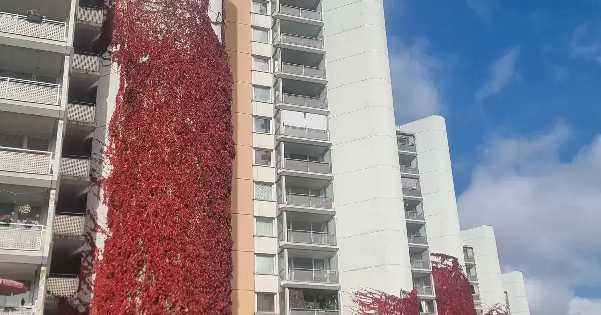 WEG-Verwaltung München Beratung